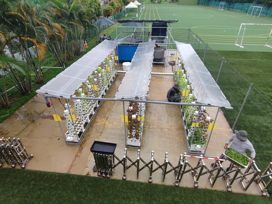 FIRST AQUAPONICS FARM AT ETONHOUSE INTERNATIONAL SCHOOL, BROADRICK