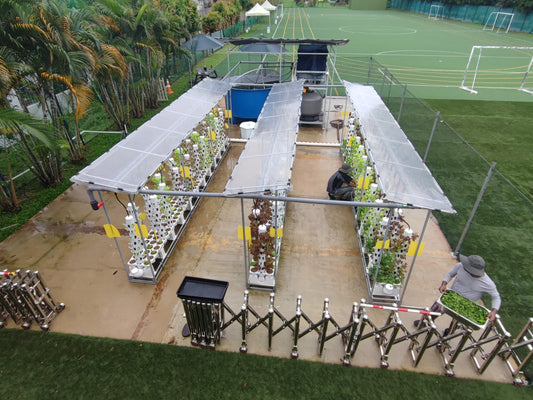 FIRST AQUAPONICS FARM AT ETONHOUSE INTERNATIONAL SCHOOL, BROADRICK