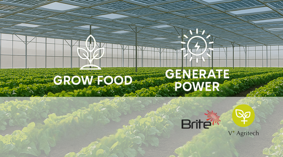 BSG30054 Semi-Transparent Solar Panels by Brite Solar