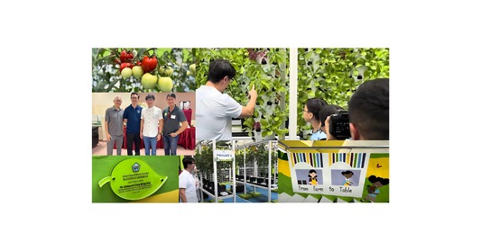 Launch of Blooming Garden at Westview Primary School