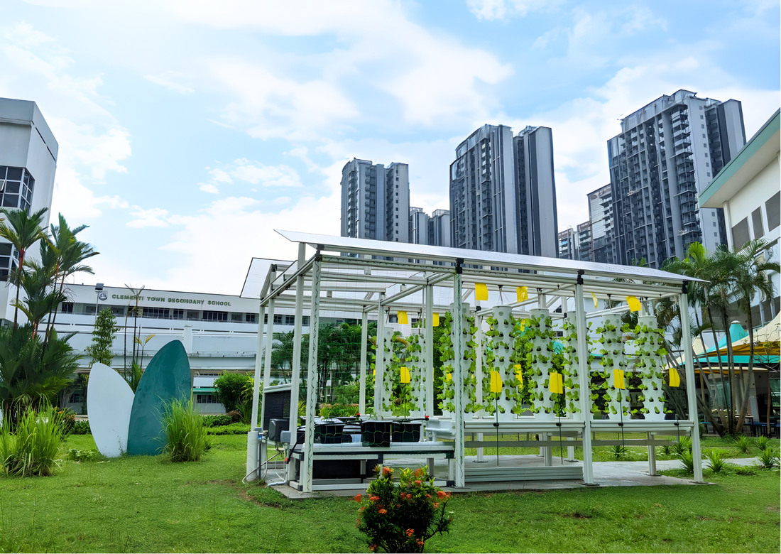 🌍 Urban Farming on the Global Stage – July Highlights from V-Plus Agritech