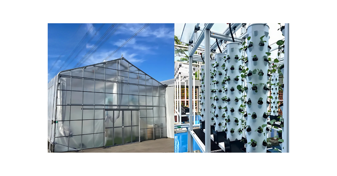 🌱 🚀 We’re Growing! Expansion into Japan and Education Outreach