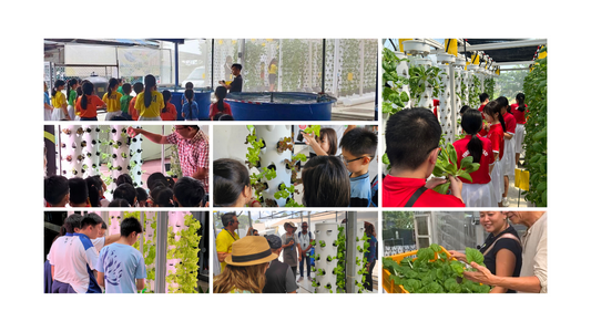 🌱 Growing a Ripple Effect: Learning Journeys That Inspire Action