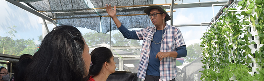 HOW AQUAPONICS FITS INTO THE CIRCULAR ECONOMY