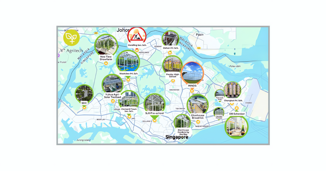 Building a Greener Future: Earth Hour, V-Plus Agritech’s Carbon Disclosure Rating & Aligning with SG Green Plan