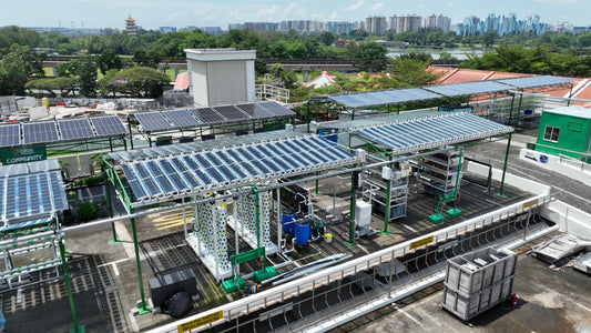 Lab on Yuhua carpark rooftop pushes frontiers in harnessing solar energy, urban farming