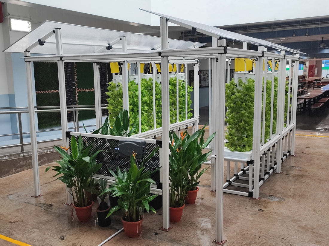Cultivating the Future: Empowering Schools with Hydroponics Systems
