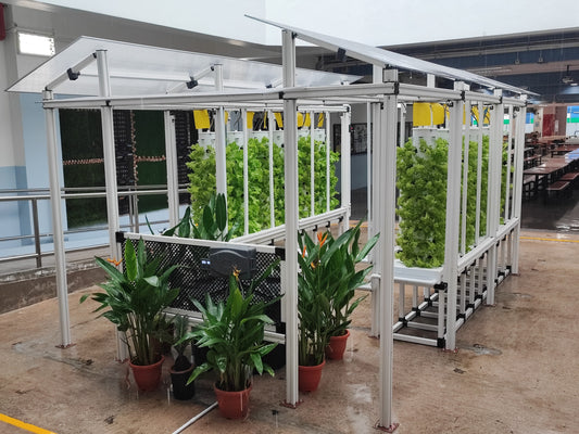 Cultivating the Future: Empowering Schools with Hydroponics Systems