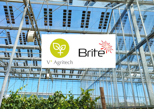 JOINT PARTNERSHIP WITH BRITE SOLAR TO BRING TRANSPARENT AGRI-PHOTOVOLTAICS (AGRI-PV) TO SE ASIA & OCEANIA