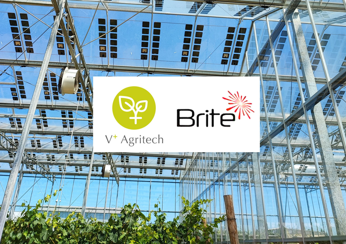 JOINT PARTNERSHIP WITH BRITE SOLAR TO BRING TRANSPARENT AGRI ...