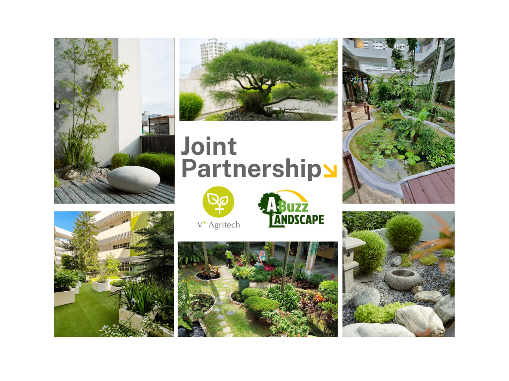 Joint Partnership with Abuzz Landscape