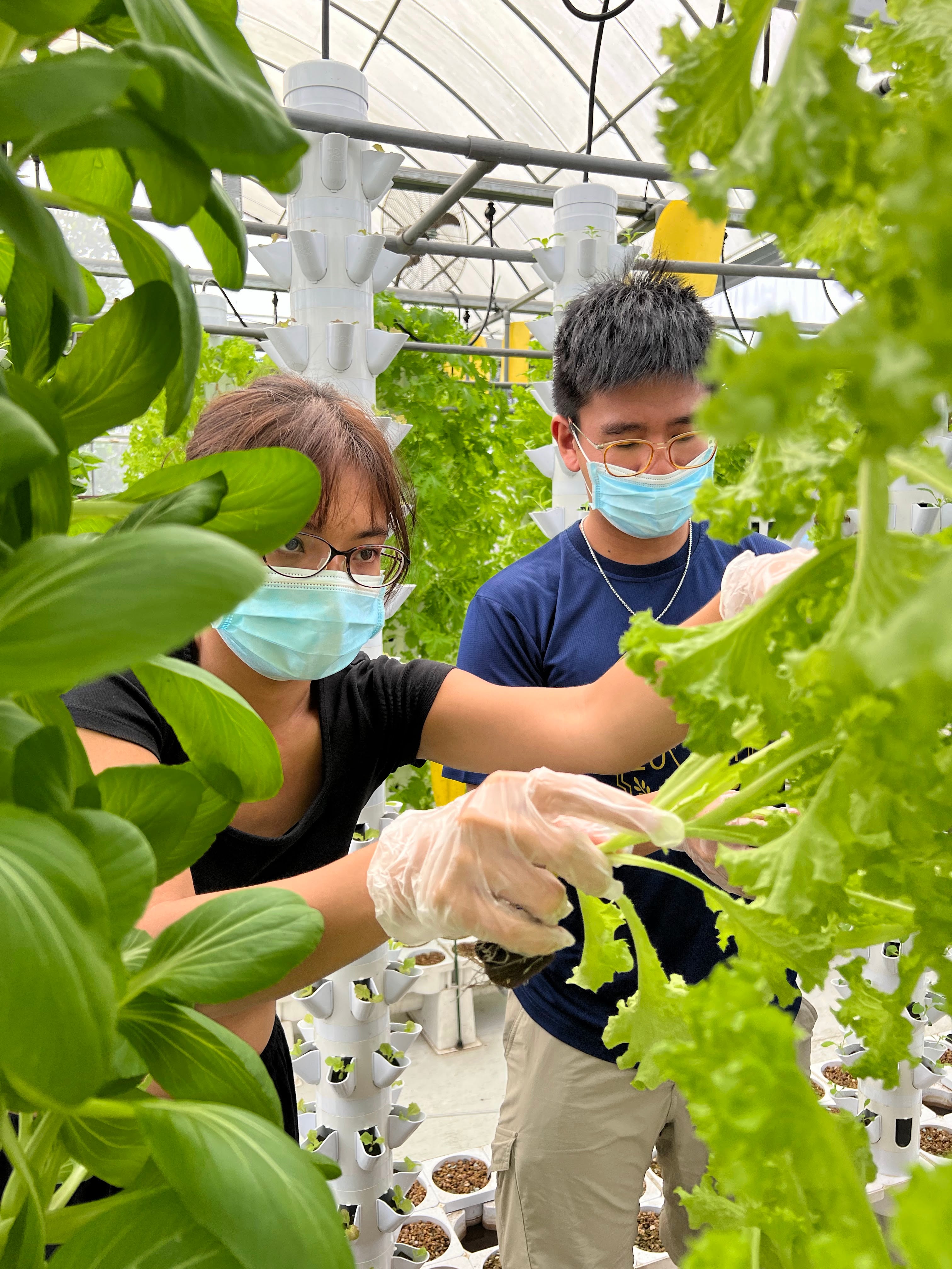 Sustainable Aquaponics Farming Course with Republic Polytechnic – V ...