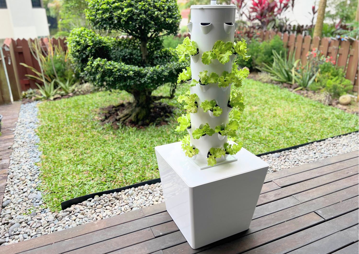 Let us work together to create a sustainable farming culture. This image shows V-Gro One hydroponics growing system for home use.