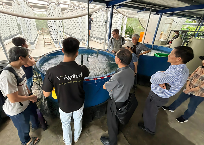 Sustainable Aquaponics Farming Course with Republic Polytechnic – V ...